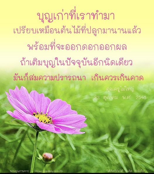 สำรวจแนวคิดเกี่ยวกับบุญเก่าที่เราทำมา เปรียบเทียบกับต้นไม้ที่ปลูกมานานแล้ว พร้อมที่จะออกดอกออกผล หากเติมบุญในปัจจุบันอีกนิดเดียว จะนำไปสู่ความปรารถนาเกินคาด พร้อมข้อคิดและคำลังใจจากคุณครูไม่ใหญ่