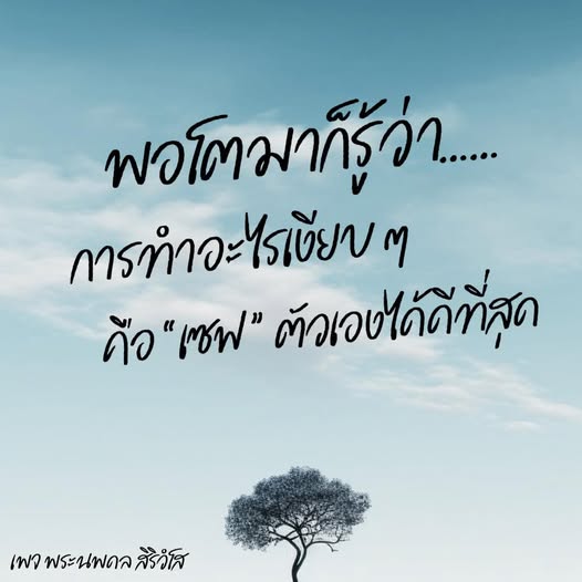การ์ด No.14239:พระนพดล สิริวํโส