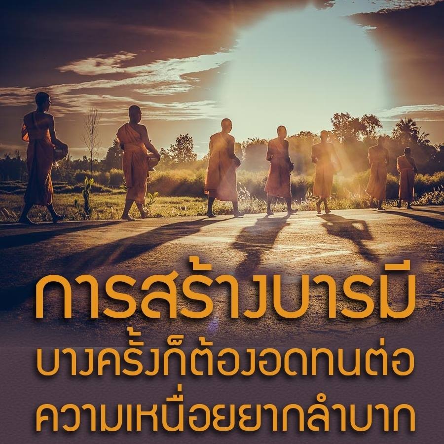 การ์ด No.13171:ทั่วไป