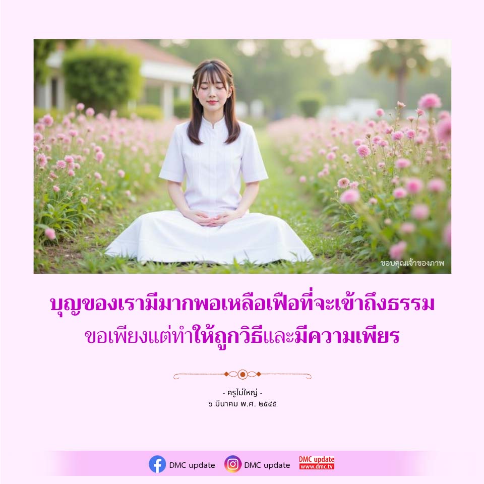 ภาพ No.16492:ทั่วไป