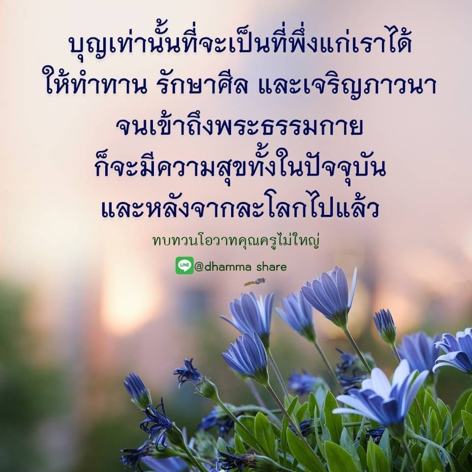 ค้นพบวิธีการสร้างบุญและความสุขในชีวิตด้วยการทำทาน รักษาศีล และเจริญภาวนา เพื่อเข้าถึงพระธรรมกาย พร้อมทบทวนโอวาทจากคุณครูไม่ใหญ่ ที่จะเป็นที่พึ่งในทุกช่วงชีวิต