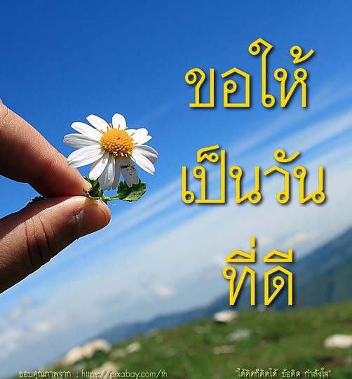 การ์ด No.11941:ภาพสวัสดียามเช้า