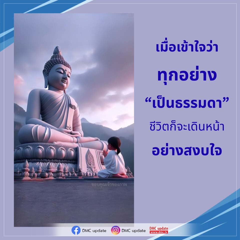 DMC Update: ความเข้าใจในชีวิตที่สงบ