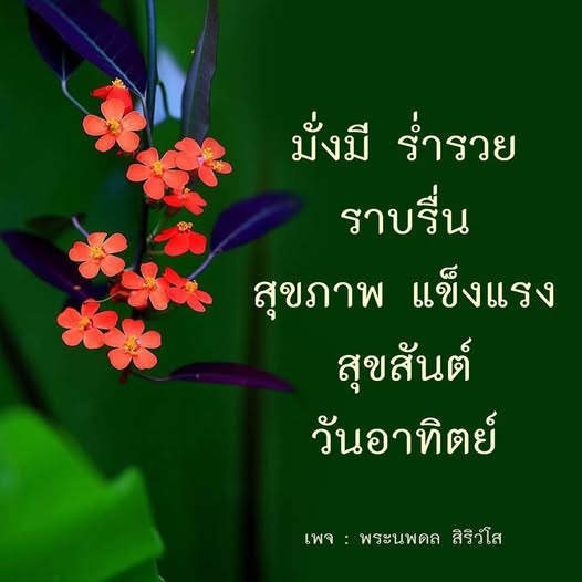 การ์ด No.12304:ภาพสวัสดียามเช้า