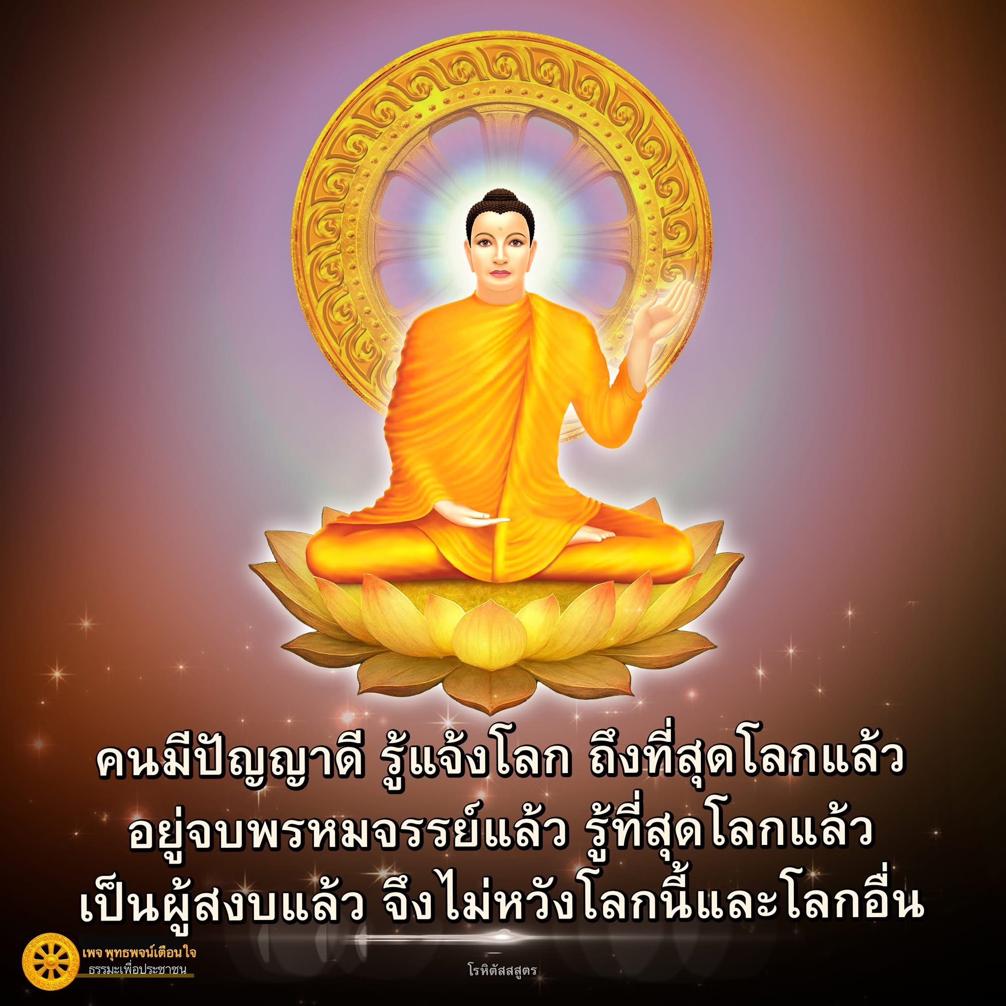 ภาพ No.16690:ทั่วไป