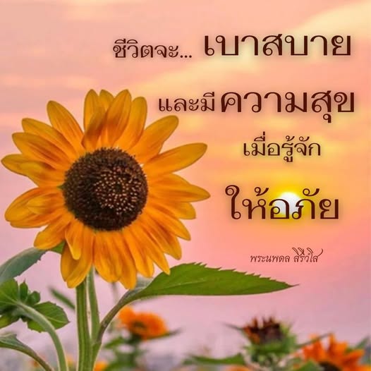 การ์ด No.11930:พระนพดล สิริวํโส