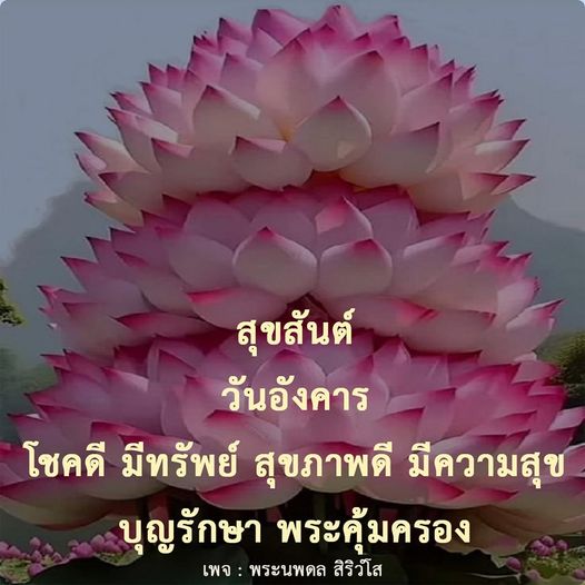 การ์ด No.9284:ภาพสวัสดียามเช้า