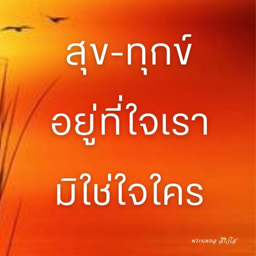การ์ด No.11572:พระนพดล สิริวํโส