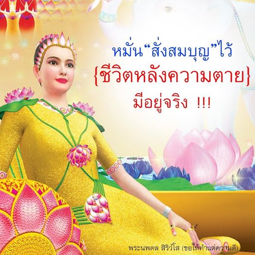 การ์ด No.10188:พระนพดล สิริวํโส