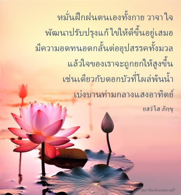 เรียนรู้วิธีการฝึกฝนตนเองทั้งกาย วาจา ใจ เพื่อพัฒนาตนเองให้ดีขึ้นอย่างต่อเนื่อง พร้อมสร้างความอดทนต่ออุปสรรคในชีวิต เปรียบเสมือนดอกบัวที่เบ่งบานท่ามกลางแสงอาทิตย์