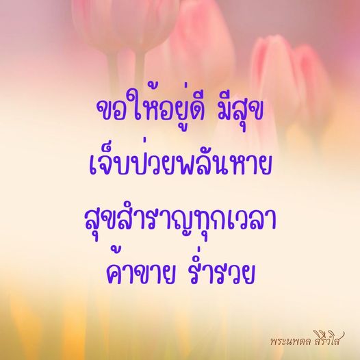 การ์ด No.8876:พระนพดล สิริวํโส