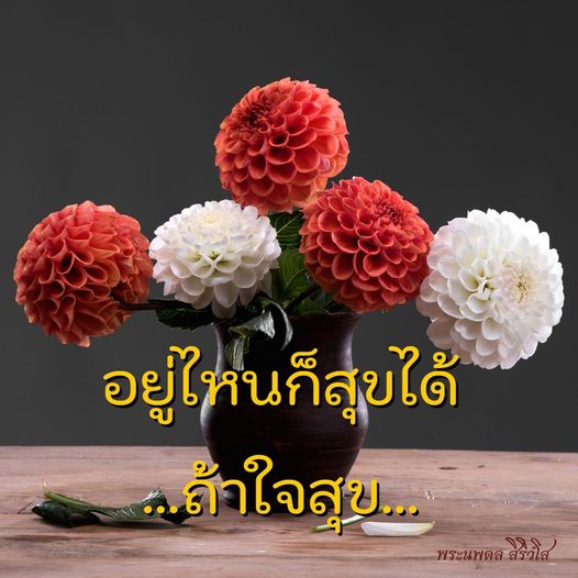 ภาพ No.9723:ภาพสวัสดียามเช้า