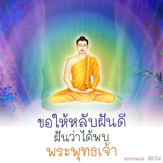 การ์ด No.11376:ราตรีสวัสดิ์