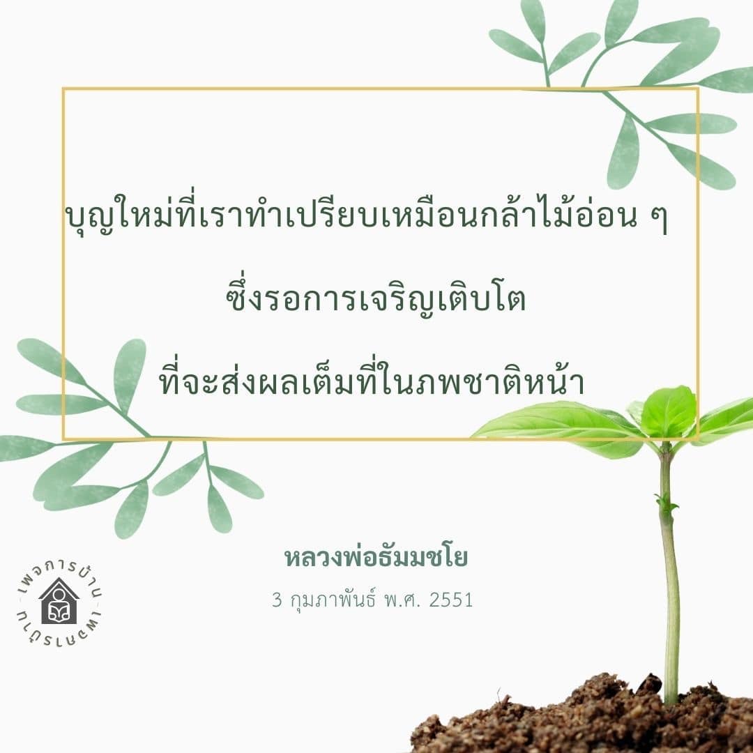 สำรวจความหมายของบุญใหม่ที่เปรียบเสมือนกล้าไม้อ่อน ๆ ที่รอการเจริญเติบโตและผลที่ตามมาในภพชาติหน้า พร้อมคำสอนจากหลวงพ่อธัมมชโย