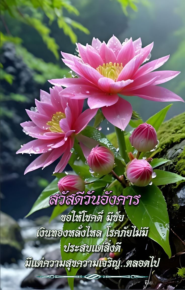 ภาพ No.16933:ทั่วไป