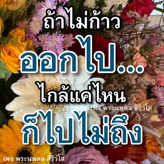 ภาพ No.12110:วันมาฆบูชา