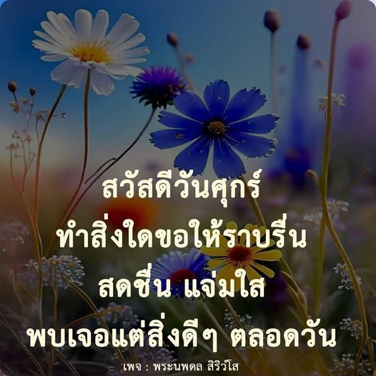การ์ด No.9184:ภาพสวัสดียามเช้า