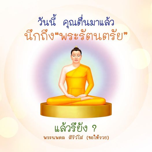 การ์ด No.11072:พระนพดล สิริวํโส