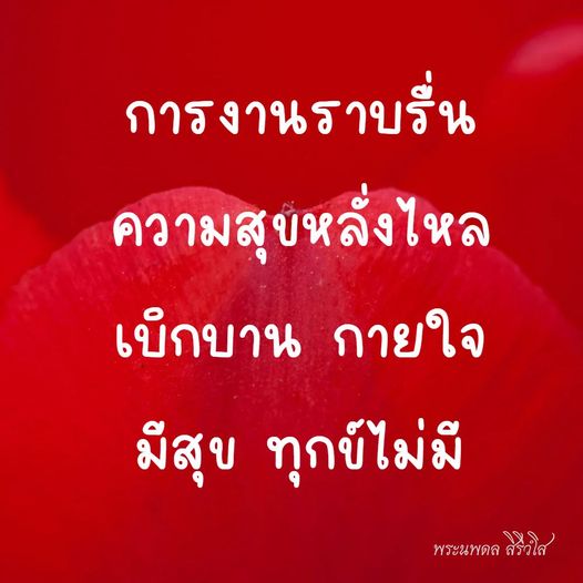 การ์ด No.8812:พระนพดล สิริวํโส