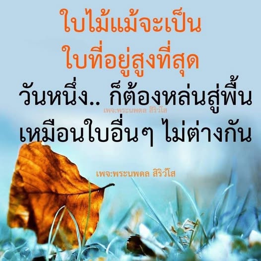 อ่านบทความที่สื่อถึงการเปลี่ยนแปลงในชีวิต ผ่านมุมมองของใบไม้ที่หล่นสู่พื้นเหมือนใบอื่นๆ สะท้อนให้เห็นถึงการปล่อยวางและการยอมรับในธรรมชาติของชีวิต โดยพระนพดล สิริวํโส