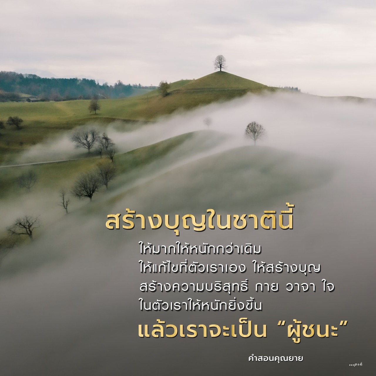 สร้างบุญในชาตินี้: เส้นทางสู่ความบริสุทธิ์และการเป็นผู้ชนะ