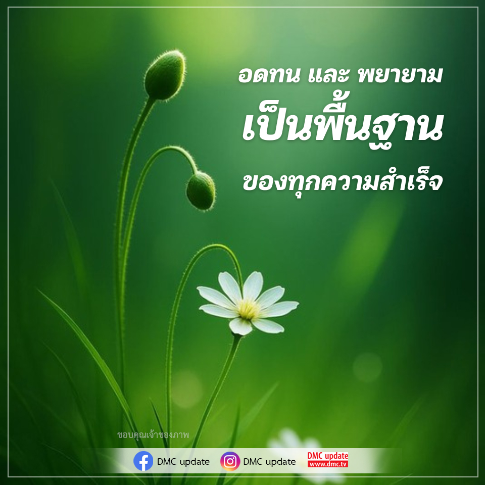 DMC Update: อดทนและพยายามเพื่อความสำเร็จ