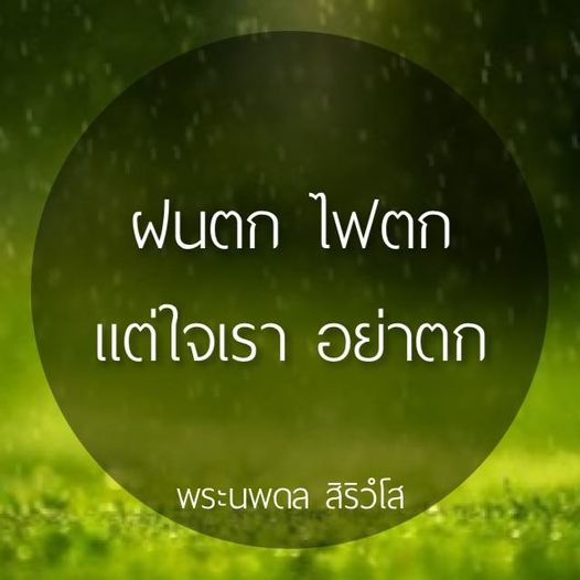การ์ด No.11195:พระนพดล สิริวํโส