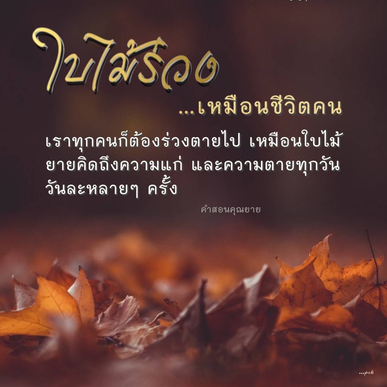 ใบไม้ร่วง...เหมือนชีวิตคน