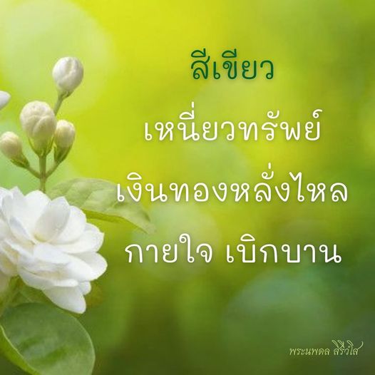 ธรรมะสั้นๆ ลึกซึ้งกินใจให้ข้อคิดข้อธรรม ทันสมัยเหมาะกับทุกยุคทุกวัย