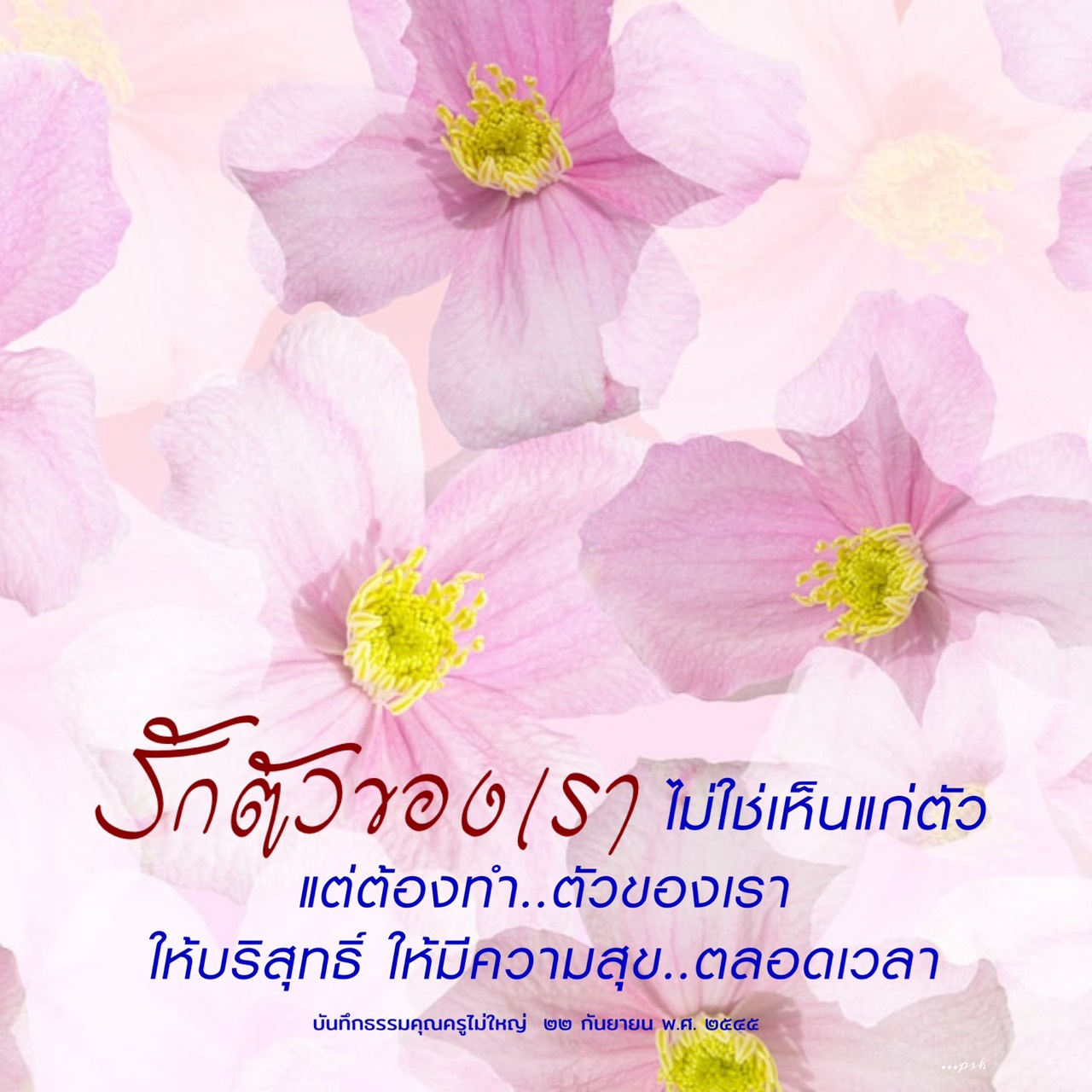 งักตัววอช: การสร้างความสุขและความบริสุทธิ์ในชีวิต