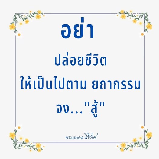 การ์ด No.14573:พระนพดล สิริวํโส