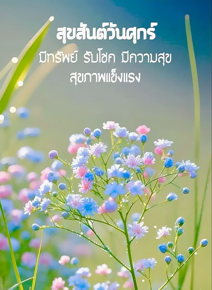 ภาพ No.16150:ภาพสวัสดียามเช้า
