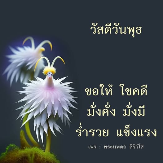 การ์ด No.12071:ภาพสวัสดียามเช้า