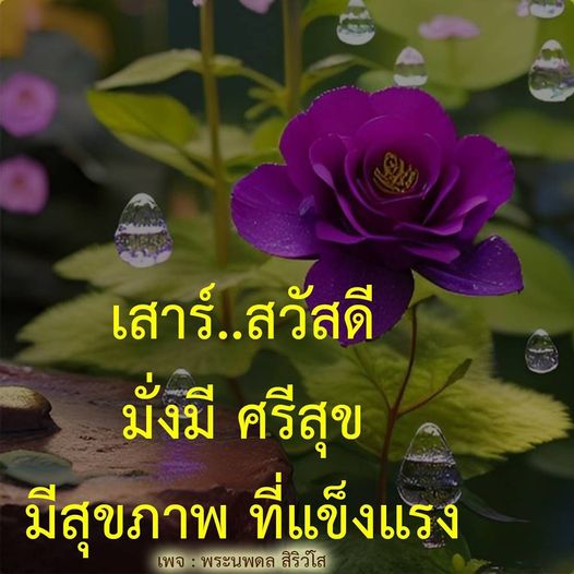 การ์ด No.10652:ภาพสวัสดียามเช้า