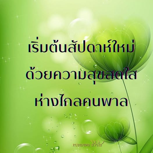 การ์ด No.12385:พระนพดล สิริวํโส
