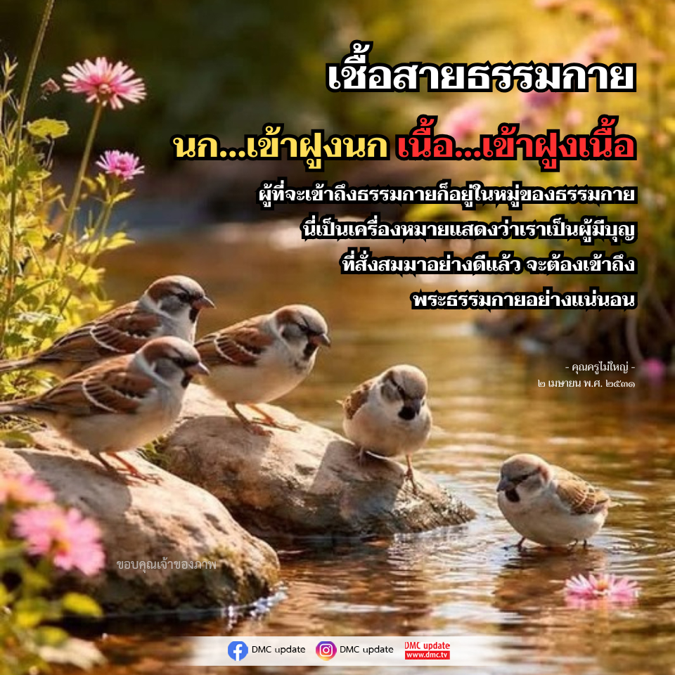 เชื้อสายธรรมกาย: การเข้าถึงพระธรรมกายและบุญที่สั่งสม