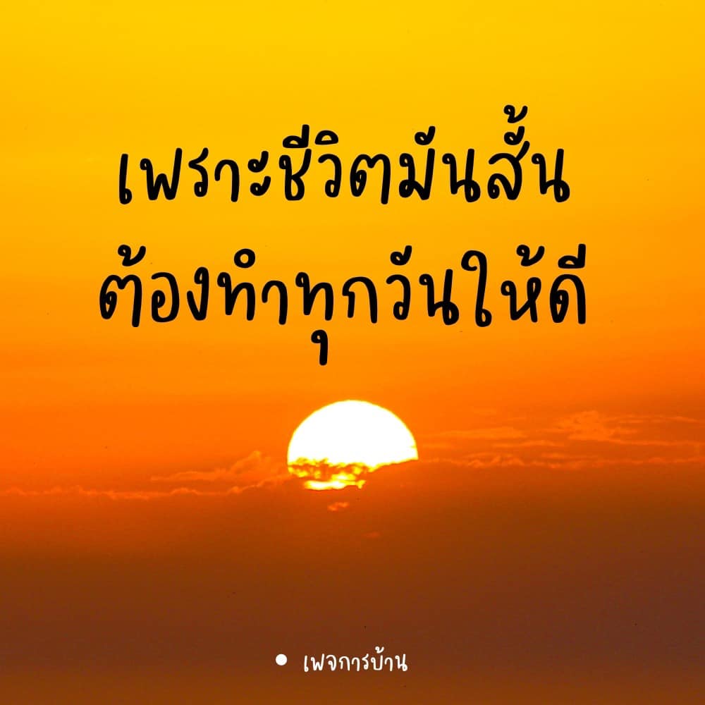 การ์ด No.9264:กำลังใจให้คุณ