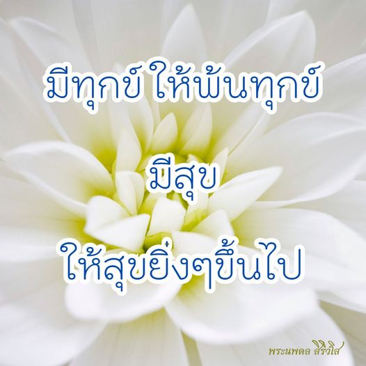 การ์ด No.9719:พระนพดล สิริวํโส