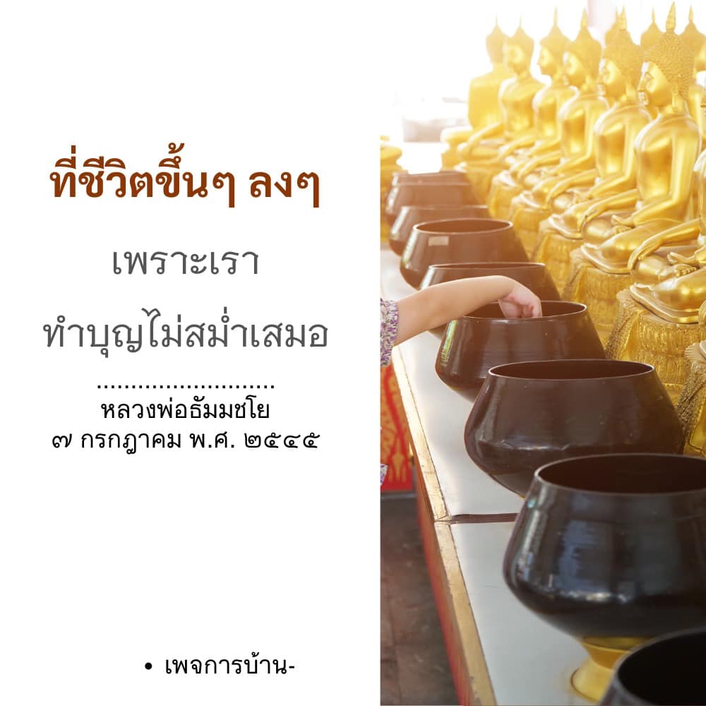 ภาพ No.16778:ทั่วไป