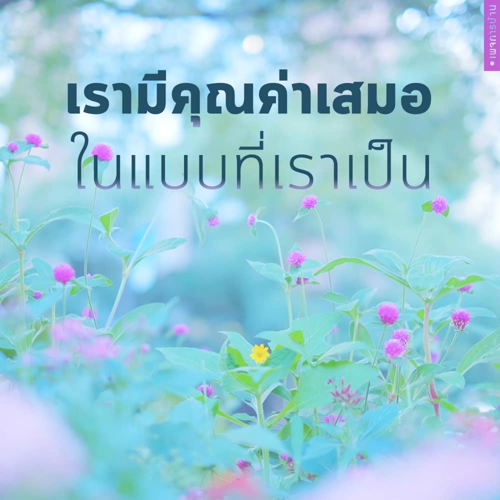 การ์ด No.8895:กำลังใจให้คุณ