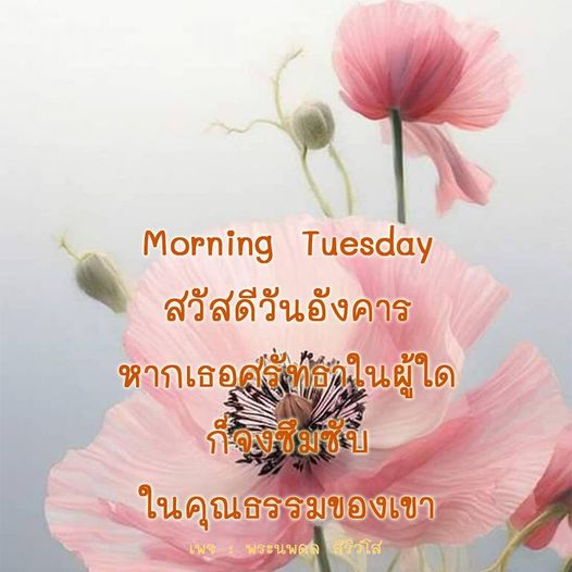 การ์ด No.10272:ภาพสวัสดียามเช้า