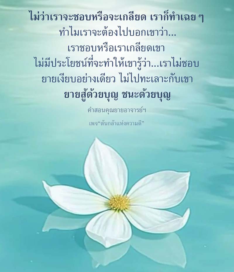 เรียนรู้คำสอนจากคุณยายอาจารย์ฯ ที่แนะนำให้เราสู้ด้วยบุญและไม่ต้องแสดงความรู้สึกชอบหรือเกลียดต่อผู้อื่น เพจ 'ต้นกล้าแห่งความดี' นำเสนอแนวคิดในการใช้ชีวิตอย่างสงบสุข