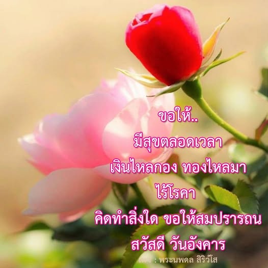ร่วมเฉลิมฉลองวันอังคารกับคำอวยพรที่เต็มไปด้วยความสุข เงินทองไหลมาไร้โรคา และขอให้ทุกความปรารถนาเป็นจริง จากพระนพดล สิริวโส
