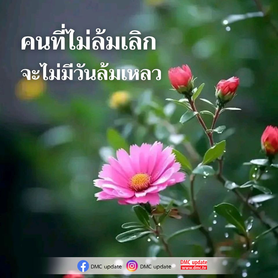 การ์ด No.15429:ทั่วไป