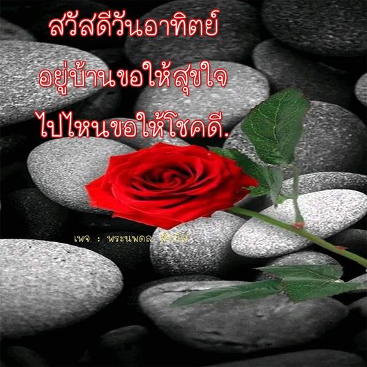 การ์ด No.8537:ภาพสวัสดียามเช้า