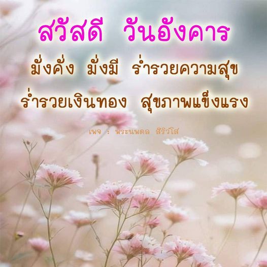 การ์ด No.10276:ภาพสวัสดียามเช้า