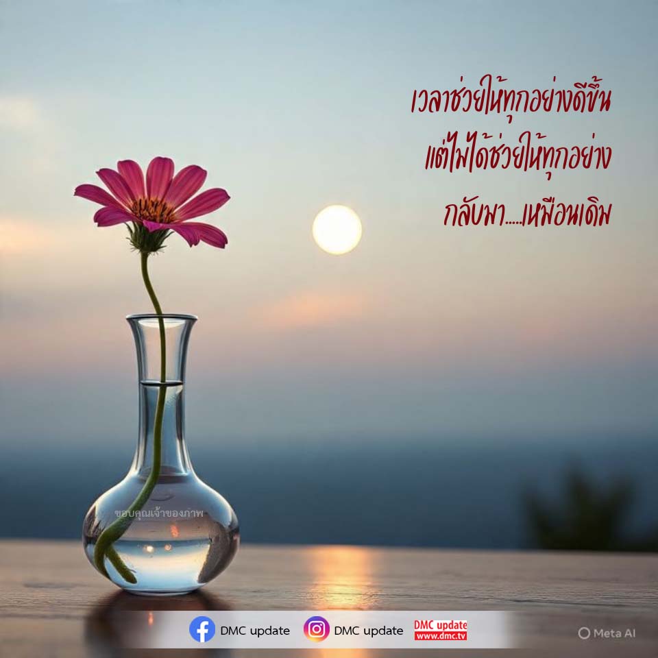 DMC Update: เวลาช่วยให้ทุกอย่างดีขึ้น แต่ไม่สามารถกลับมาเหมือนเดิม