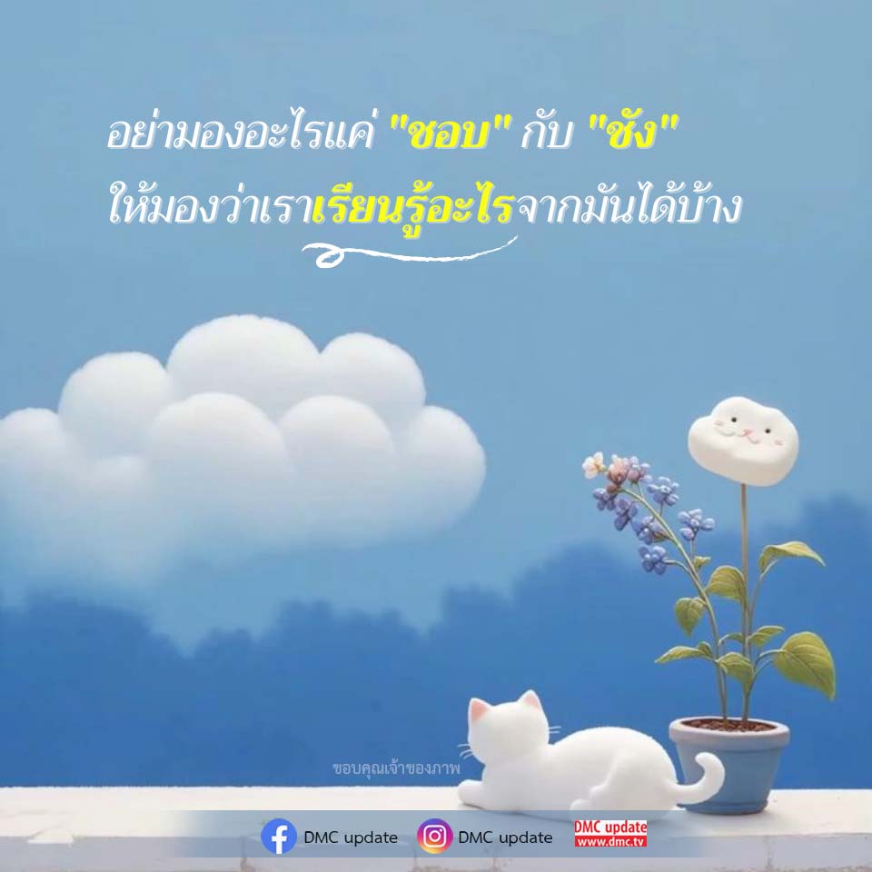 เรียนรู้จากความชอบและความไม่ชอบ - DMC Update