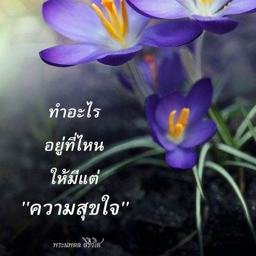 การ์ด No.9318:พระนพดล สิริวํโส