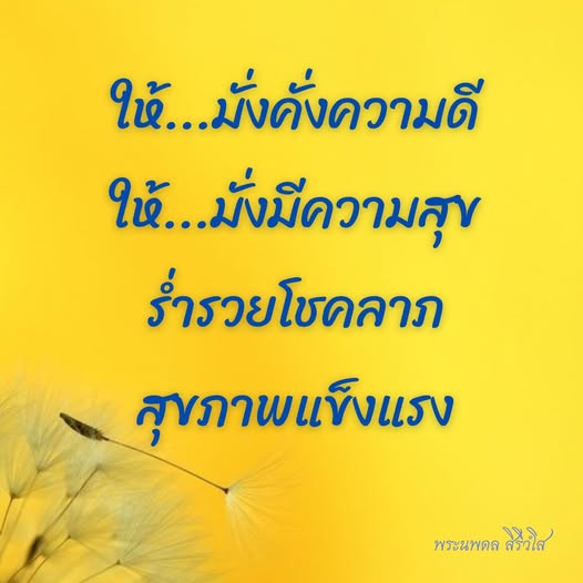 การ์ด No.12209:พระนพดล สิริวํโส